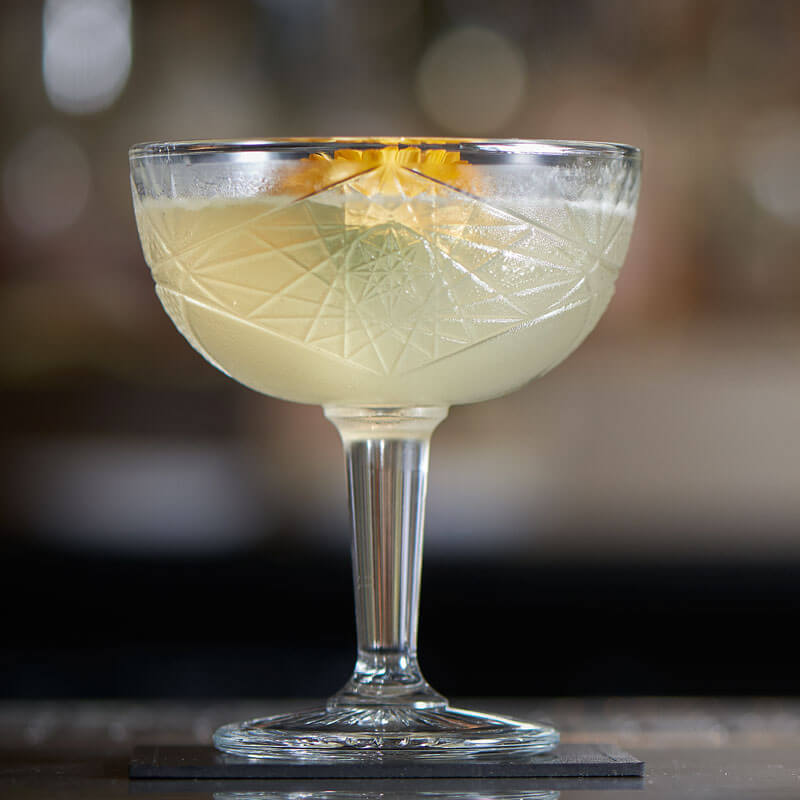 Coupe Cocktailschale ICON, Onis - 250ml (1 Stk.)