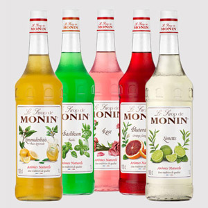 Monin Sirup (0,7-1,0l Flaschen)