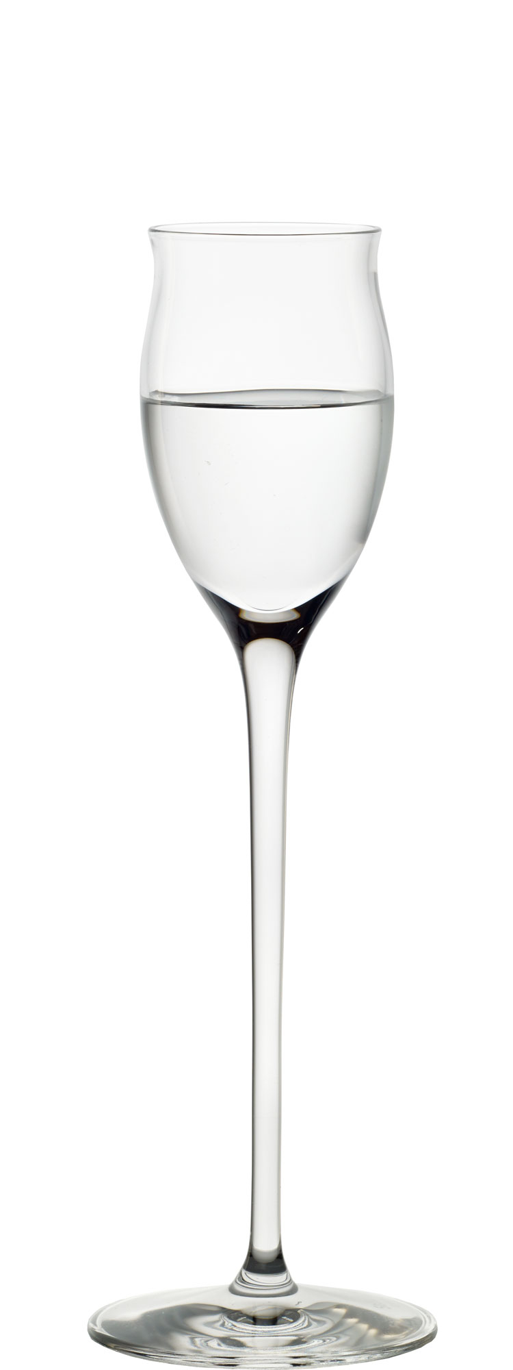 Edelbrand/Grappa Glas Quatrophil, Stölzle - 65ml (6 Stk.)