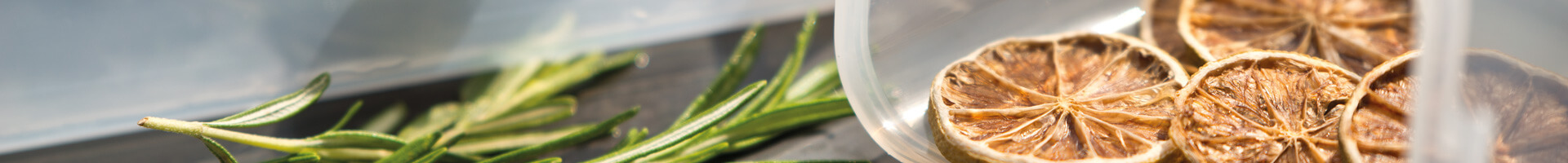 banner-desktop