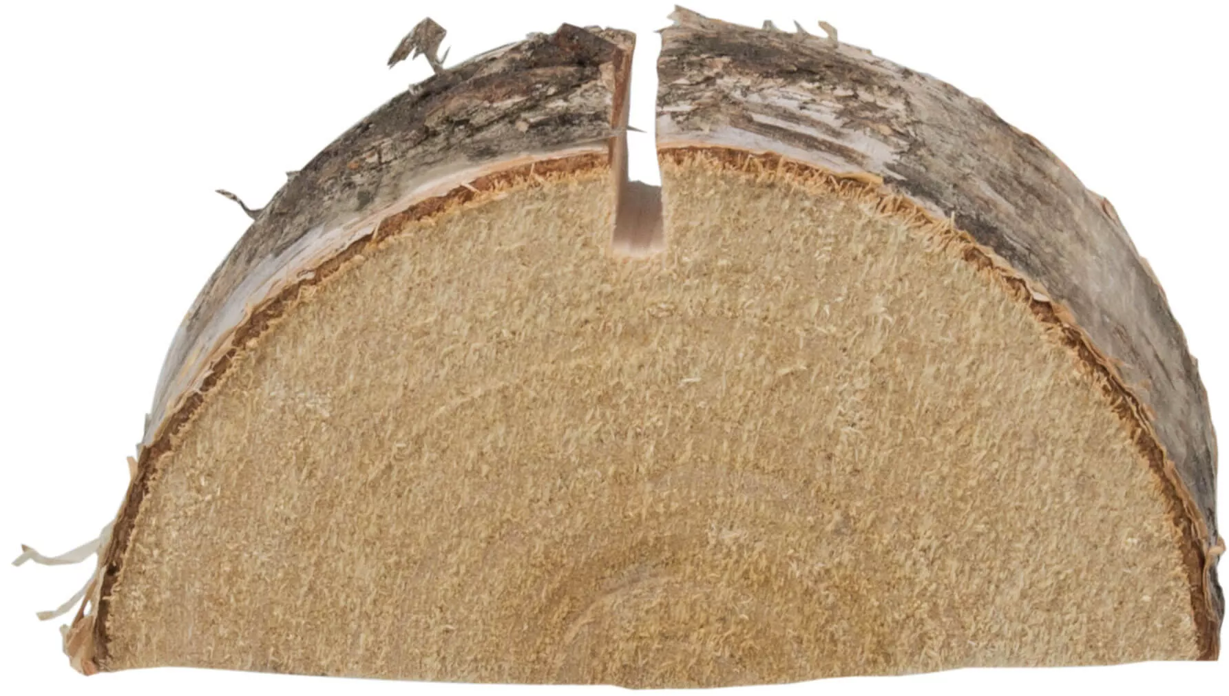 Kartenhalter Birke, Baumscheibe Birke - ca. 6,5cm Kartenhalter Birke, Baumscheibe Birke - ca. 6,5cm