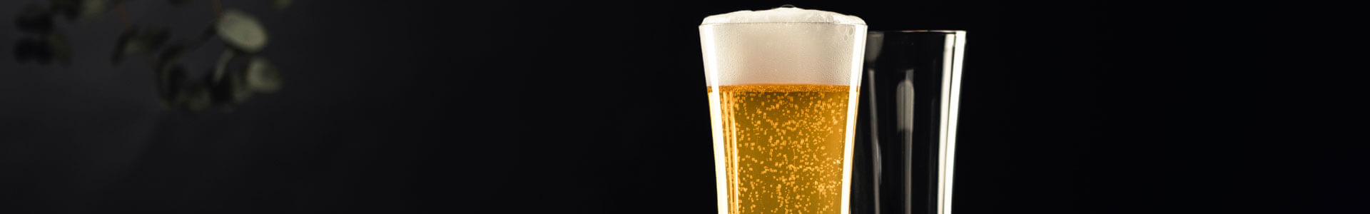 Gefülltes und leeres Weizenbierglas aus der Beer Basic Bierglas-Serie von Zwiesel Glas. 
